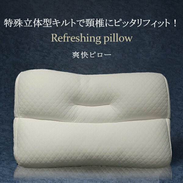 爽快ピロー サイズ：35x50cm（ピロー 枕カバー 43x63cm対応 寝具 枕 まくら マクラ 睡眠 快眠 ベッド 寝室 安眠 ホテル 高級 ギフト プレゼント 寝心地 肩こり 首こり 洗える 洗濯可 ハード 贈り物 おすすめ父の日 高さ調整 ウォッシャブル 快適 リラックス ）NANNA