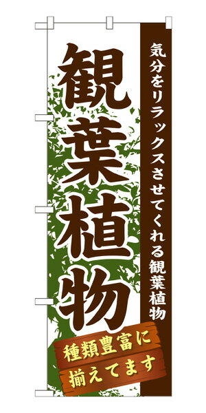 GNB-1071 のぼり旗 気分をリラックスさせてくれる観葉植物 観葉植物 種類豊富に揃えてます 素材：ポリエステル サイズ：W600mm×H1800mm ※お取寄商品