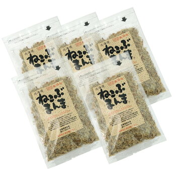 【メール便送料無料】ねこぶまんま40g×5袋