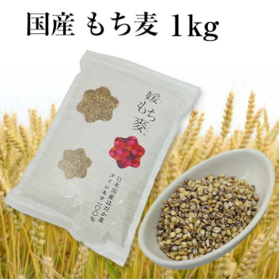 新麦 令和4年産 国産 もち麦 1kg 国内産 雑穀米に もちむぎで脱メタボ