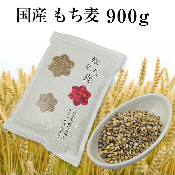 新麦 令和4年産 国産 もち麦 1kg 国内産 雑穀米に もちむぎで脱メタボ 食物繊維 食品 もちもちの麦「もち麦」モチムギ 1キロ 無添加【メール便送料無料】ネコポス