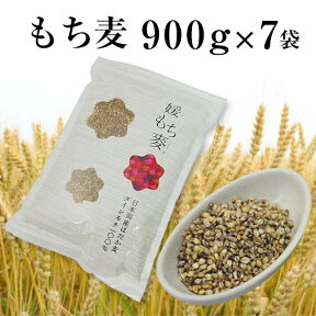 【クーポンで最大500円オフ】国産 もち麦 1kg×7袋 7kg 国内産 雑穀米に もちむぎで脱メタボ 食物繊維 食品 もちもちの麦「もち麦」モチムギ 1キロ 無添加 媛もち麦【送料無料】 ギフトにも 母の日 プレゼント