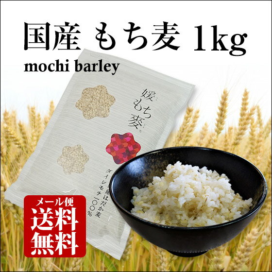 【H30年産新麦！】国産 もち麦 1kg 国内産 雑穀米に もちむぎで脱メタボ 食物繊維 食品 もちもちの麦「もち麦」モチムギ 1キロ 無添加【メール便送料無料】ネコポス