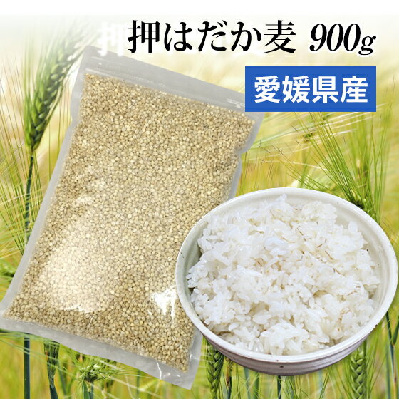 1000ߥݥå۹񻺲Ϥ900g(1kg-100g)ƱϤΤ100%ɲڥ᡼̵¥륬˭١᥮եȤˤץ쥼