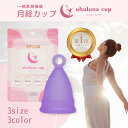 nanoclo-plus:10000143のサンプル画像2