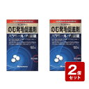 【期間限定】《お買い得2個セット》【第2類医薬品】ハツモール 内服錠 180錠×2個セット