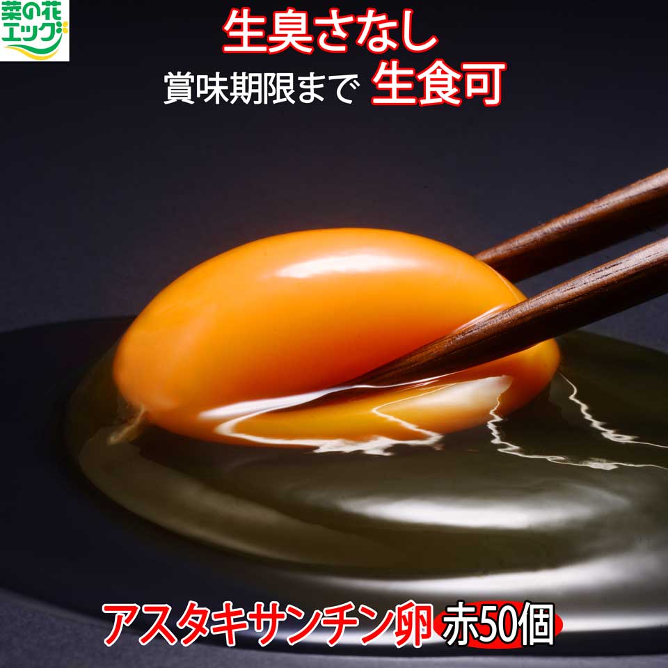 生卵 50個 入り 赤玉 贈答 菜の花エッグ 高級たまご 高級卵 おいしい 進物用 アスタキサンチン卵 たまご タマゴ 卵 玉子 産みたて 甘味 コク 生食用 生たまご 美味しい 高級 卵かけご飯 新鮮 産地直送 ブランド おいしい卵 まとめ買い お取り寄せ ギフト 食材 送料無料