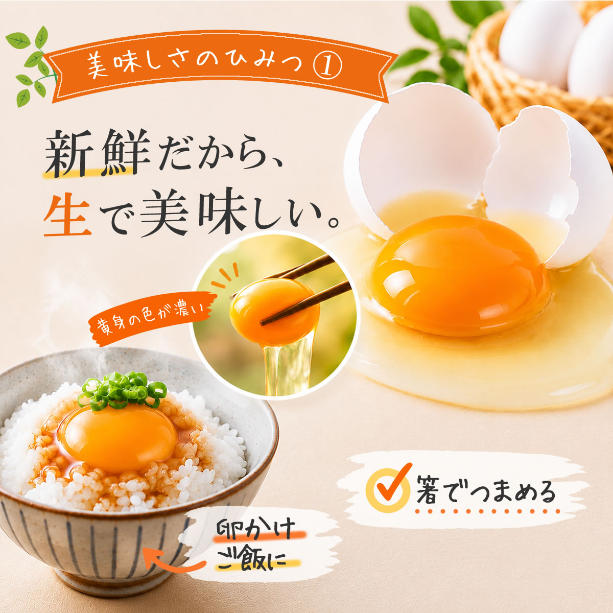 菜の花たまご直売所Kokkoの業務用 卵 75個 白玉 生卵 高級卵 おいしい 業務用 取り寄せ 鶏卵 たまご タマゴ 卵 玉子 卵通販 お取り寄せ 高級 おいしい卵 卵かけご飯 アスタキサンチン卵 甘味 濃厚 コク 生食用 生たまご 美味しい 高級 新鮮 産地直送 産直 まとめ買い 白玉 卵かけご飯 養鶏場直送｜アングル3