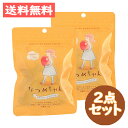 なつめちゃん ノンフライ なつめチップス(25g) 2点セット 女性にやさしいスーパーフード 自然由来 葉酸 鉄 カリウム 無添加【合同会社ディーパス】
