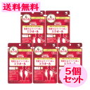 命の母 発酵 大豆 イソフラボン エクオール 30日分 30粒 5点セット 腸内細菌 