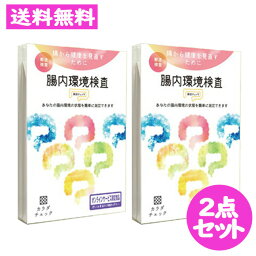 腸内環境検査 腸活チェック 2点セット ヘルスケアシステムズ 郵便検査キット