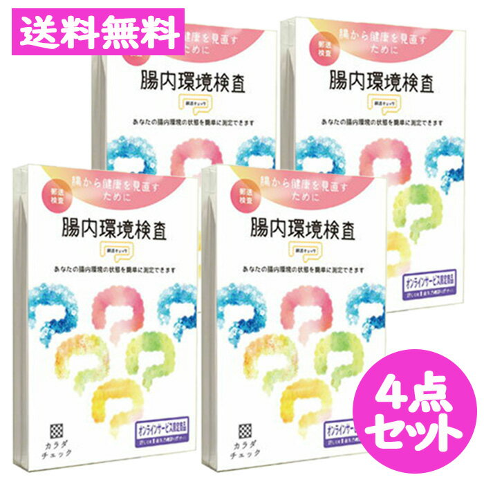 腸内環境検査 腸活チェック 4点セット ヘルスケアシステムズ 郵便検査キット