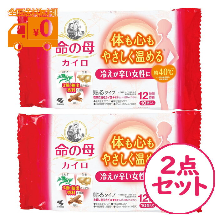 命の母 カイロ 貼るタイプ (10個入) 冷えが辛い女性に 2点セット 使い捨て 冷え性 日本製【小林製薬】