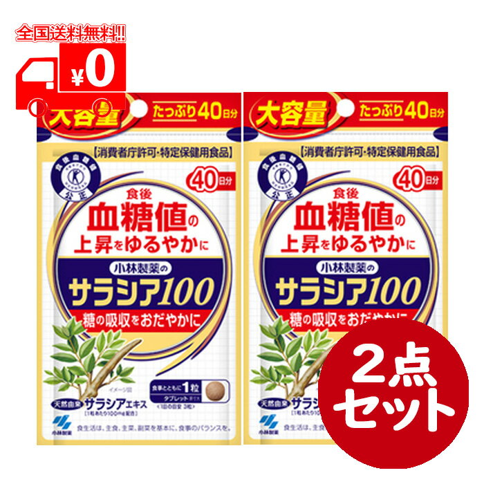 小林製薬のサラシア100 大容量(120粒/40日分) 2点セット 血糖値 特定保健用食品 サプリメント【小林製薬】