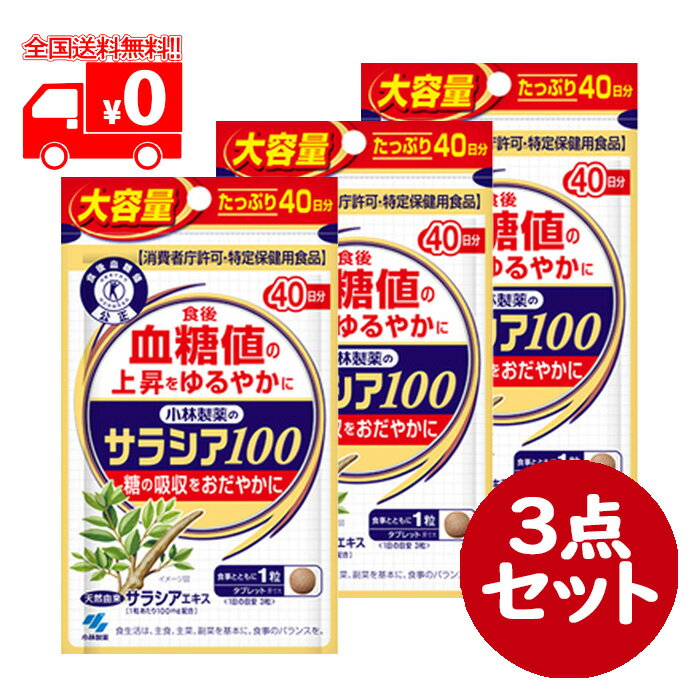 小林製薬のサラシア100 大容量(120粒/40日分) 3点セット 血糖値 特定保健用食品 サプリメント【小林製薬】