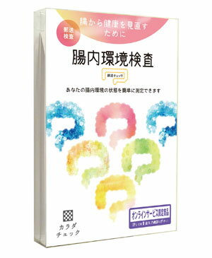 腸内環境検査 腸活チェック 1セット ヘルスケアシステムズ 郵便検査キット