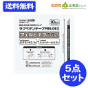 【第2類医薬品】ラクペタンテープFB5.0EX ラミネート袋(箱なし)10枚入 【ラクール薬品】 フェルビナク5.0% 10点セット