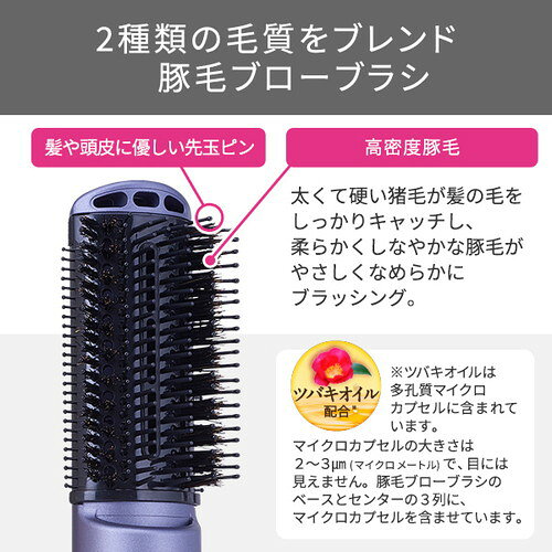 TESCOM �ƥ����� TESCOM ���뤯�� ������ɥ饤�䡼 �ޥ��ʥ������� �֥����֥饷 2�ʳ����� (DRY-S(TC430A-W) �᡼�����߸���