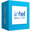 インテル MM99CG5K Intel 300 LGA1700(BX80715300) 目安在庫=○