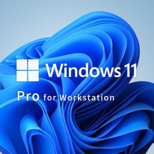 Microsoft Microsoft DSP Win11 Pro Wrkstns 64bit 1p DVD 英語版(ZV-00101/S) 目安在庫=△
