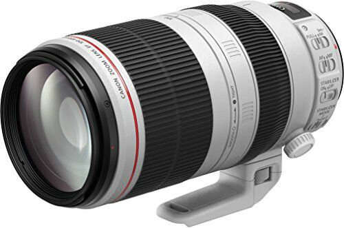 キヤノン EF100-400mm F4.5-5.6L IS II USM EF100-400LIS2(9524B001) 取り寄せ商品