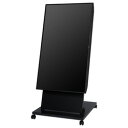 NEC 日本電気 LCD-E498-MP03 49型美映エル 目安在庫=△(2)