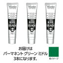 ターナー色彩 アクリルガッシュ 100ml 43パーマネントGRミドル 3個(TURNER108597) 取り寄せ商品