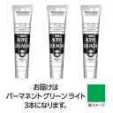 ターナー色彩 アクリルガッシュ 100ml 42パーマネントGRライト 3個(TURNER108596) 取り寄せ商品