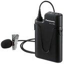 パナソニック Panasonic ワイヤレスマイクロホン(タイピン型) WX-ST400 取り寄せ商品