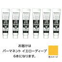 ターナー色彩 アクリルガッシュ 11ml 12パーマネントYディープ 6個(TURNER108805) 取り寄せ商品
