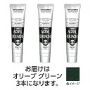 ターナー色彩 アクリルガッシュ 100ml 46オリーブグリーン 3個(TURNER108598) 取り寄せ商品