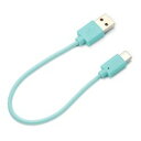 PGA ピーシーエー USB Type-C USB Type-AコネクタUSBケーブル 15cm ブルー PG-CUC01M03 取り寄せ商品