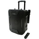 センター商事 CICONIA ポータブルスピーカー(TY-1800) 取り寄せ商品(2)