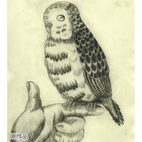 ARTEC 【10セット】 ARTEC ドライポイントセット(ATC20516X10) 取り寄せ商品