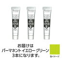 ターナー色彩 【3本×5セット】 アクリルガッシュ 20ml 41パーマネントYグリーン(TURNER108446X5) 取り寄せ商品