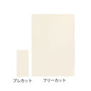 アルケア フェルト絆R プレカットシート 20枚入 (1箱(20枚入り))(7-9537-01) 取り寄せ商品