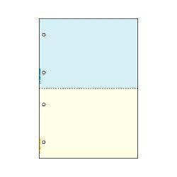 ヒサゴ FSC2011マルチプリンタ帳票FSC A4 カラー 2面 4穴 取り寄せ商品