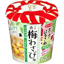 エースコック スープはるさめ香る梅わさび味19g ×36個(4901071407360 x36) 取り寄せ商品