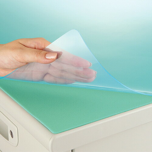 ライオン LION デスクマット #117-PRK(254-17) 取り寄せ商品