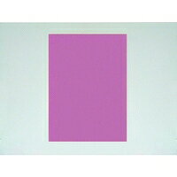  顼ܡ A2 ⡼(5CB-A2-MO) 󤻾