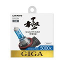 カーメイト ザ・ブループラス5000K H8 BD1029N(69-5472-30) 取り寄せ商品