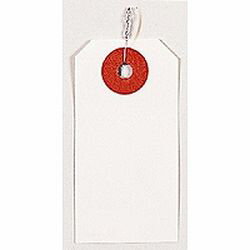 オキナ 荷札　豆荷札　100(TGS100) 目安在庫=○