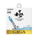 カーメイト エアーネオ4200K H1 BD132N(69-5472-38) 取り寄せ商品