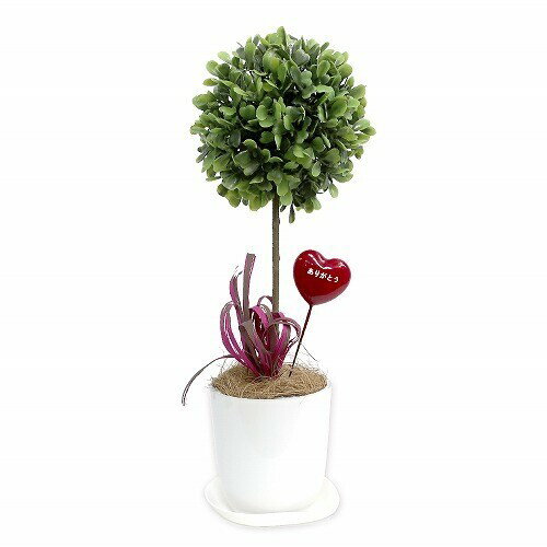 タカ印 人工観葉植物　ボックスウッド　Sサイズ(32-8704) 取り寄せ商品