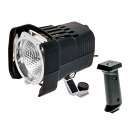 LPL LPL ビデオライト VL-302A(L2611A) 取り寄せ商品
