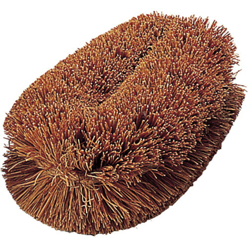 TRUSCO ナチュラルブラシ｢いがぐり君｣ 140mm 1個(TWM) 取り寄せ商品