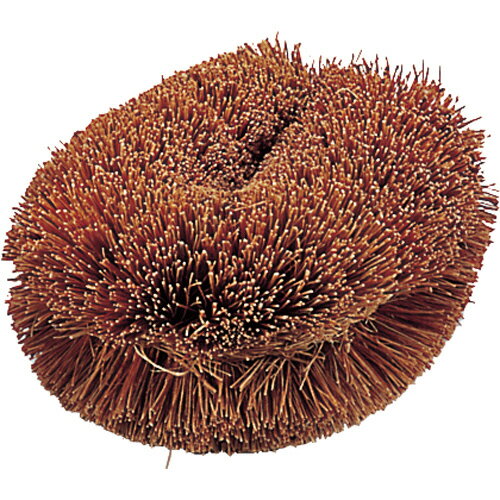 TRUSCO ナチュラルブラシ｢いがぐり君｣ 170mm 1個(TWL) 取り寄せ商品