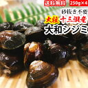 赤羽屋磯辺商店 青森の味!【産直 冷凍】砂抜き不要 十三湖産 大和シジミ 中~大粒 1kg(4582390700334 ×4) 特産品