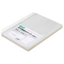 TPS 2穴透明ポケット (台紙なし) A4タテ 1パック(100枚)(T2CP-A4-10) 目安在庫=○