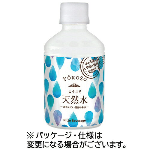 Nビバレッジ ようこそ(YOKOSO) 天然水 280mL ペットボトル 1セット(48本:24本×2ケース)(4535582001351 x48) 目安在庫=○